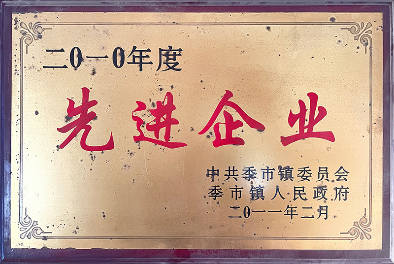 2010年度先進企業
